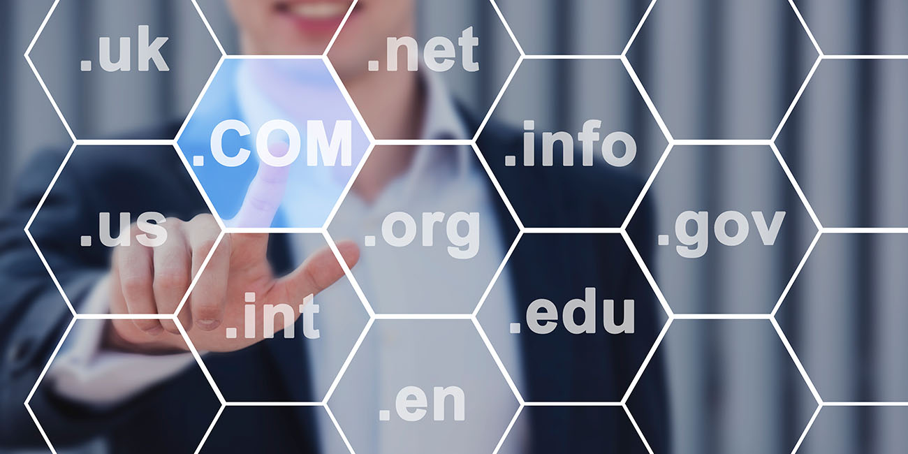 Domain Registration, Hosting, SSL Certificate, and PKI Solution